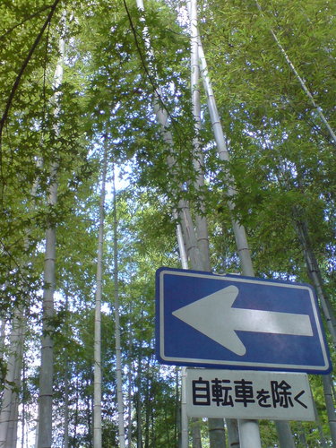 20100903074343.jpg